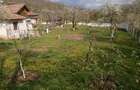 Vand casa cu anexe si gradina 2664 m2, Bascenii de Sus - 1