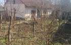 Casa de vanzare in Gaborjan la 24 de km de vama. - 15