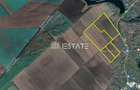 Teren intravilan, 40 ha, pretabil parc fotovoltaic /logistic - Sinesti (Ialomita) - 1