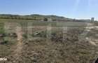 Teren extravilan, 17088 mp, zona Beltiug