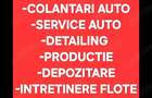 HALE ?OS ALEXANDRIEI Stradale 30-350mp La numai 300 euro Super Vad Super Trafic Super Pozitie