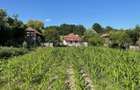 Vand Casa + teren 12.000 mp in Cernisoara, sat Modoia, Valcea - 4
