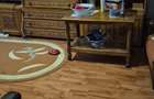 Apartament 2 camere confort 1 Targoviste Micro 12 - 6