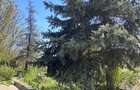 Casa la cheie zona ANL Bucovina - 17