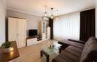 Apartament cu o camera zona Tudor, mobilat, echipat, Targu Mures - 8