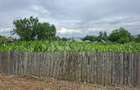 Teren intravilan 1000mp, zona Magura Sohodol