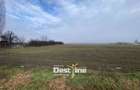 Teren de vanzare Girov- Doina 7200MP 140000 - 2