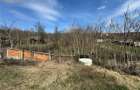 Teren Parcelabil I 11400 MP I Corpadea - 10