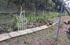 Teren intravilan, 938 mp, zona Remetea - 5