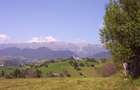 Teren Magura Moieciu cu panorama de exceptie - 7