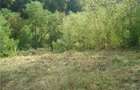 Teren vanzare Calimane?ti, Valcea - 7