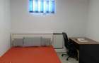 Apartament 3 camere Cal. Ferentari - 2