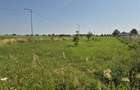 Teren intravilan in Izvorani Delta Snagov