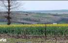 Teren cota parte 3/16, Sipote, ID: R3070063 - 9