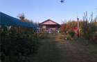Casa parter - Comana Giurgiu - 4 camere - baie - 118mp - 600mp teren - 19