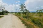 Teren intravilan de vanzare, 544 mp, zona Cornesti - Buduhala - 1