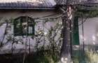 Casa de vanzare Pascani - 1
