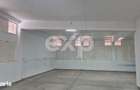 Spatiu Comercial 210 mp + Teren 2.000 mp | Centru Bajesti | Chirias Ex - 9