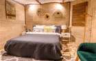 3 camere, premium, zona Centrala, Motilor, USAMV, Piezisa, Platinia - 2