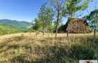 Casa Muntii Apuseni cu 116.445 mp teren - 1