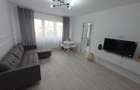 Apartament 2 camere | Zona Careiului | Mobilat - 7