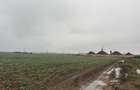 Teren intravilan pretabill construc?ie hale Sabareni, Buftea, Ilfov - 1