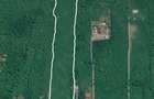 Teren de Vanzare 15000m2 - 1