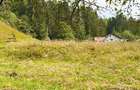 Teren intravilan Valea Doftanei - 5