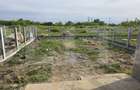 Duplex parter | 105 mp utili | teren 384 mp | Mosnita Noua - 1