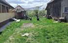 Vand schimb casa cu teren 3800 mp in Rediu, 16 km de Cluj - 3