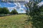 Vand 2.500 mp teren intravilan in Lugojel la 4 km de Lugoj 24 /mp - 13