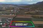 Teren de 6000 mp, în Copalnic