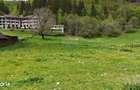 Intravilan | 10.000 mp| Satic-Rucar | Acces facil | Potential excelent
