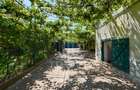 Casa de vanzare-teren 2.300 mp| Ocna Sibiului - 18