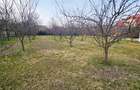 Teren 500 mp in Pipera - Iancu Nicolae | Ideal Resedinta  | Oferta - 4