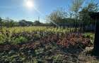 Direct proprietar: Casa demolabila + teren 1167 mp - 7