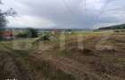 Teren 3.600 mp, ideal pentru livada, cabana sau investitie in Podu Olt - 2