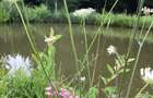 De vanzare  vila cu teren de 4150 mp si lac