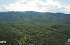 Livada de Nuci, 11 Hectare comasate, Cisnadie, Jud. Sibiu - 5