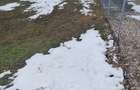 Teren de 600 mp, în Mineri - 4