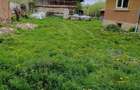 Vand casa in Dangaul Mare - 7