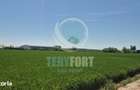 Teren intravilan construire hale depozitare, industrie , servicii, com