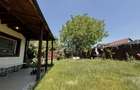 VEZI VIDEO! Vila cu 4 camere, 2 bai | P+M | Domnesti - Teghes - 2