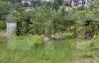 Teren cu potential de construire | 648 mp | Strada asfaltata | Bucovin - 1