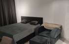 Apartament cu 1 camera - zona Podu Ros - Piata Nicolina - 9