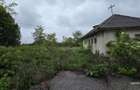 Cladiri la strada in Cucorani pe 1 ha de teren - 3