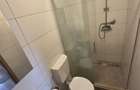 Apartament 4camere central cu terasa 200 mp zona Tribunal - 9