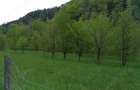 Teren de 3000 mp, în Cazaci - 9