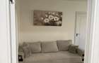 Apartament Doua Camere Calea Girocului - 6