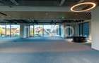 Birouri premium in SibiuSpatii flexibile moderne pentru companii - 11